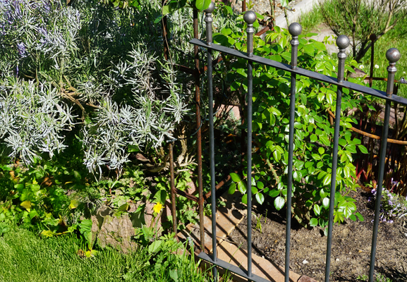 Hekwerk in de tuin – voordelen, toepassingsmogelijkheden en beperkingen