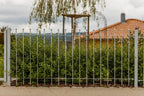 Zaun Ancona vor einer Hecke | Feuerverzinkt